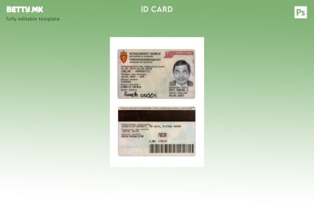 Модерен стил Шаблон за картичка за лична карта на Норвешка за лична карта